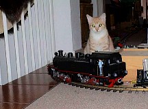 Neroandthemodellrailway1.JPG