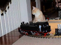 Neroandthemodellrailway21.jpg