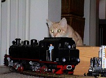 Neroandthemodellrailway31.jpg