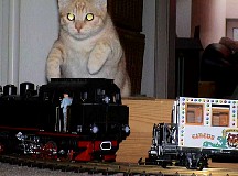 Neroandthemodellrailway41.jpg